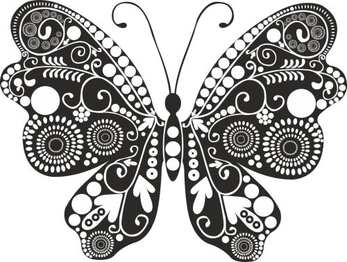 butterfly vector