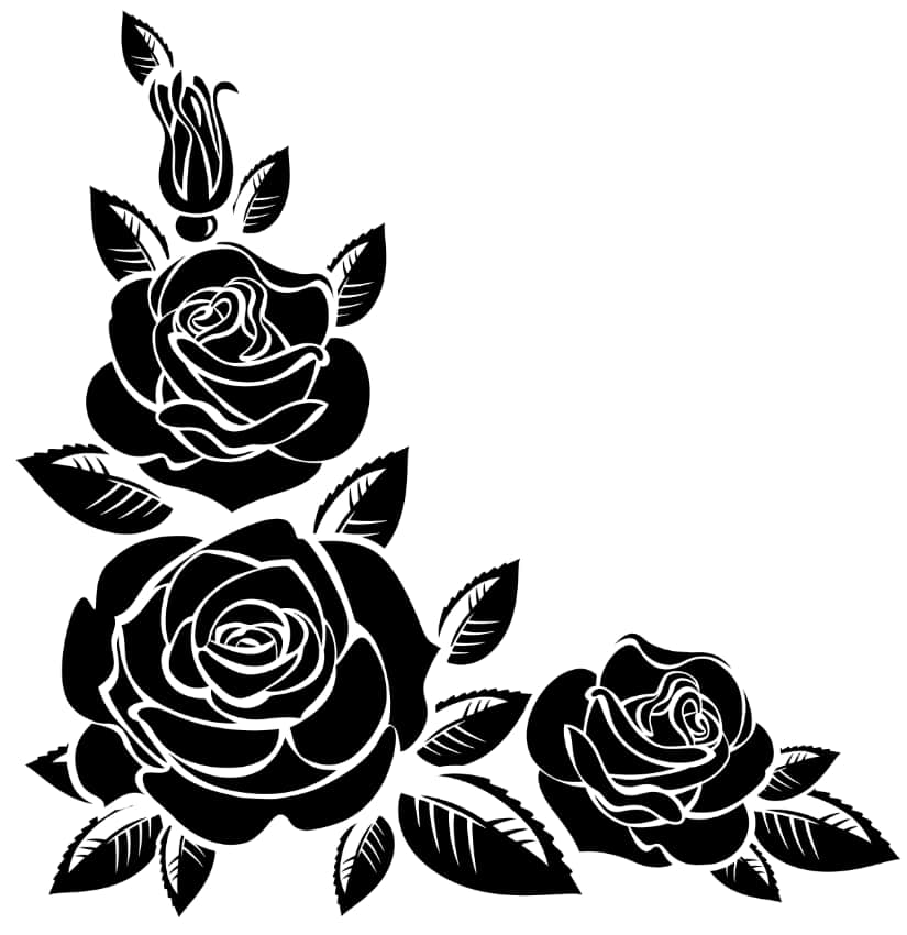 Black rose vector art Rose Floral Pattern eps Download 2 Black rose