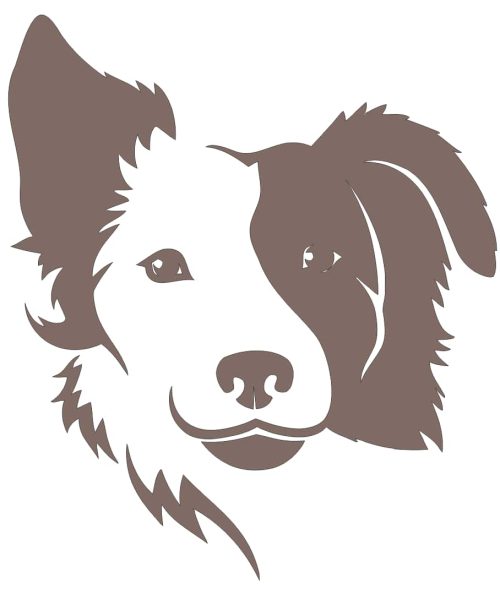 dog vector