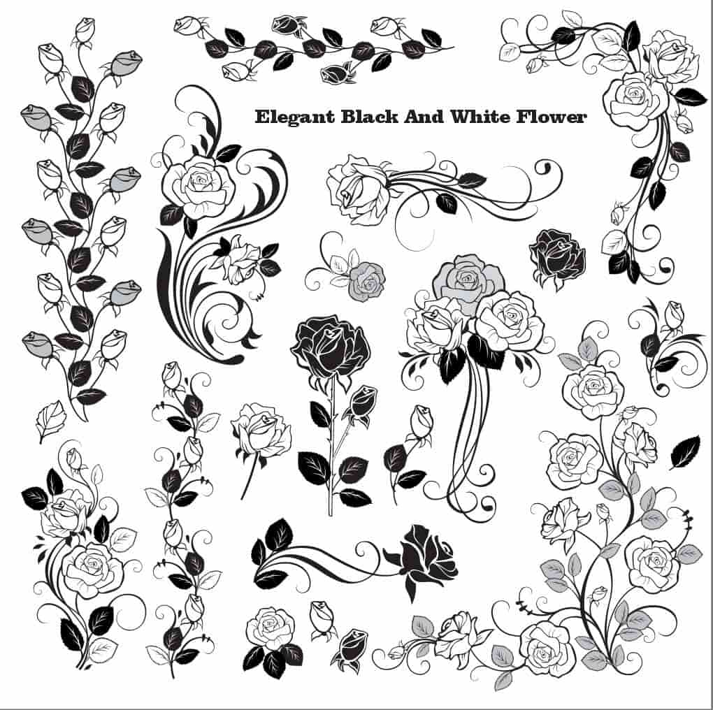 Elegant Black And White vector flower Art eps File 2 Flower vector