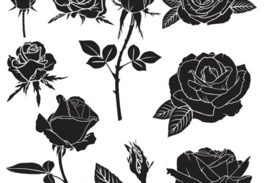 black rose tattoo design