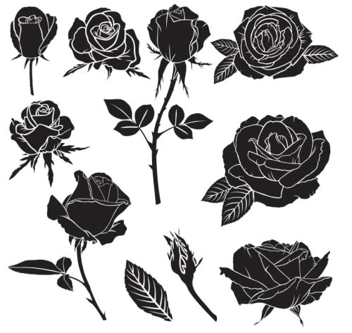 black rose tattoo design