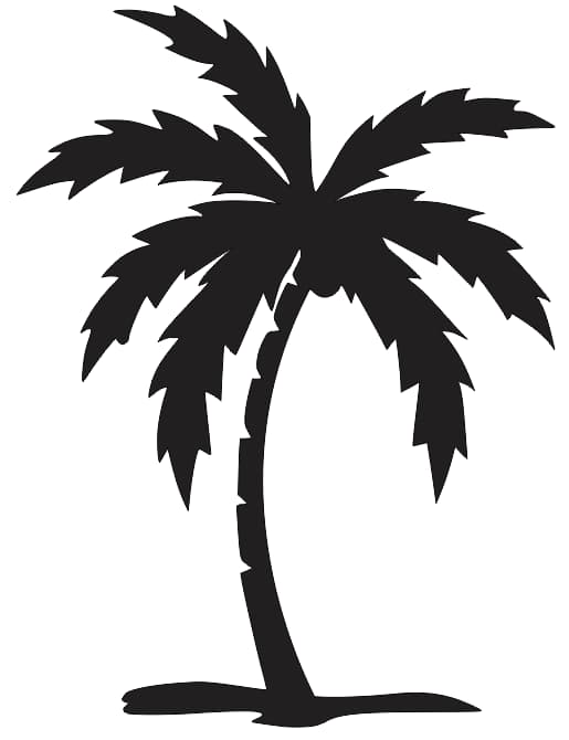palm tree silhouette vector