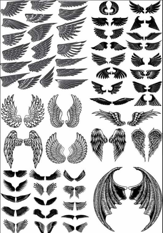 Wings Vector