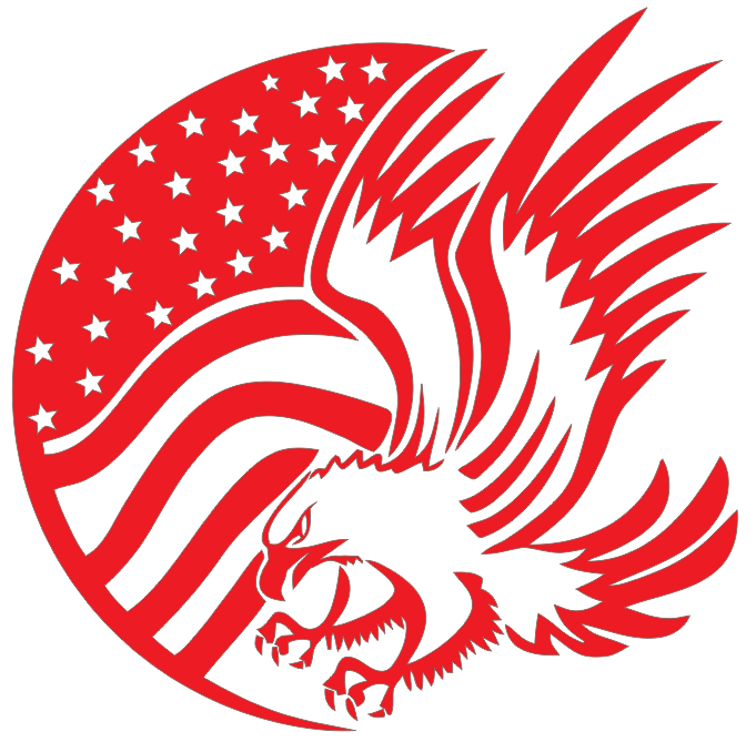 free american flag vector