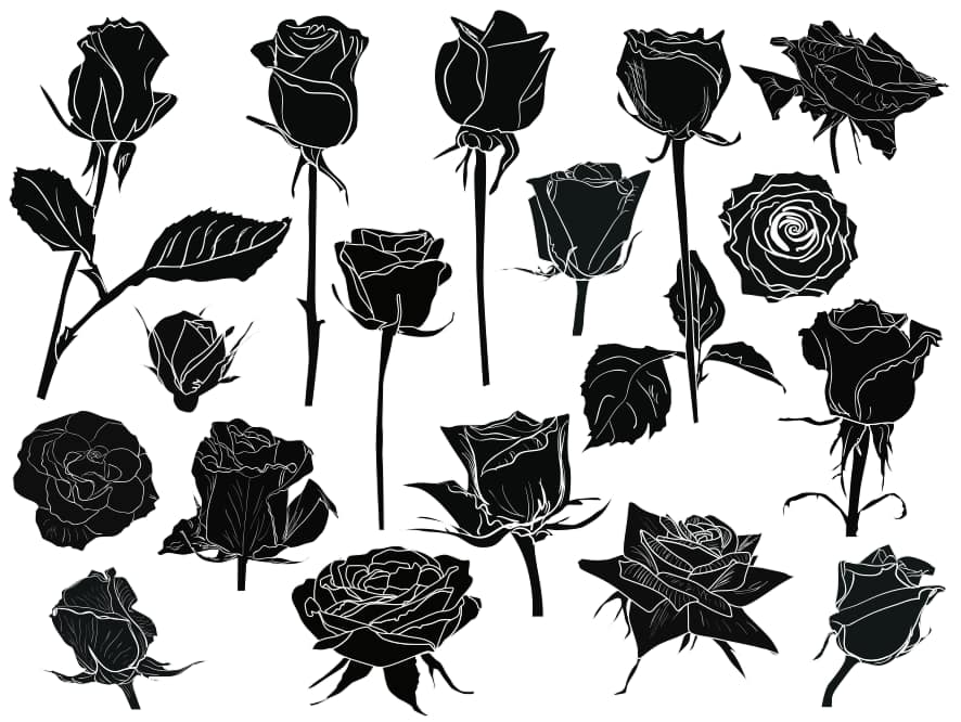 black and white roses Set Free Vector file 2 black and white roses