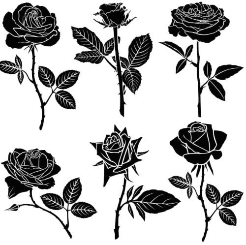 floral vectors