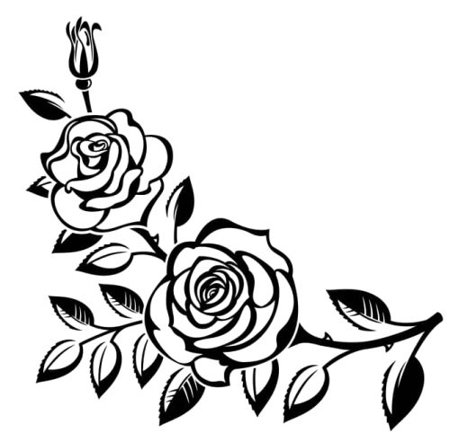 vector rose