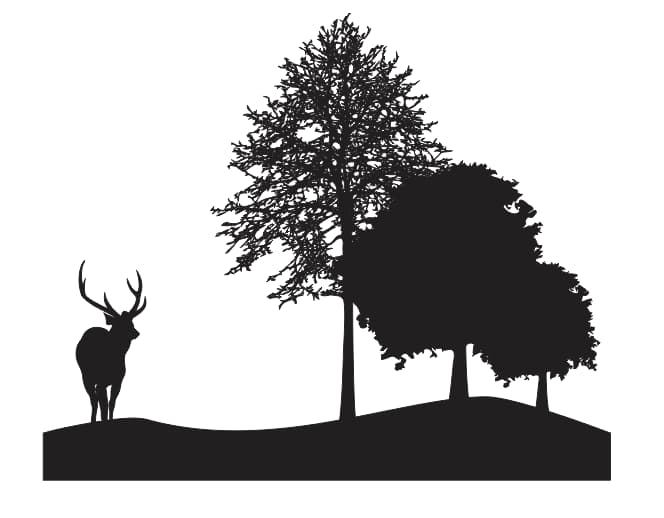 free downloads vector