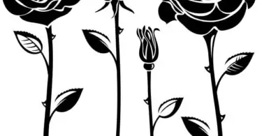 Elegant Black And White Flower Vector Art eps jpg Image