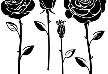 Elegant Black And White Flower Vector Art eps jpg Image
