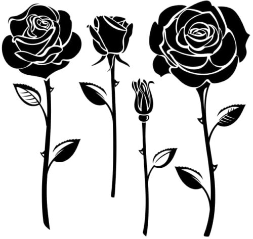 Elegant Black And White Flower Vector Art eps jpg Image