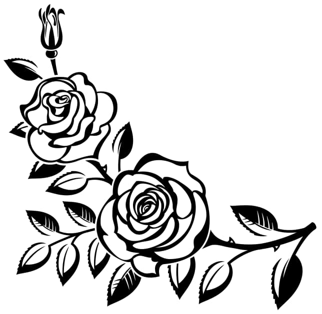 Elegant Black And White Flower Vector Art jpg Image 3 Elegant Black And White Flower Vector Art jpg Image