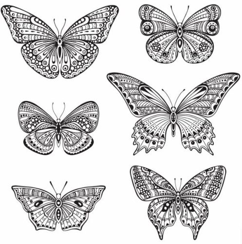 free vector download