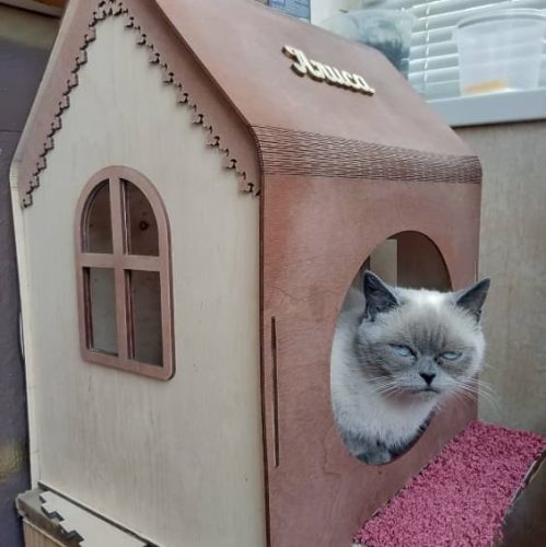 laser cut projects download