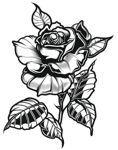 black rose tattoo