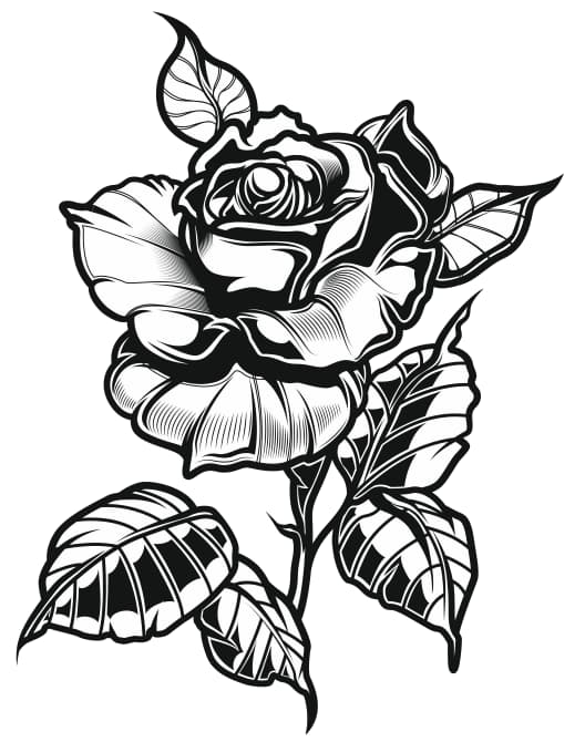 black rose tattoo freevector rose tattoo ideas cdr download 2 black rose tattoo