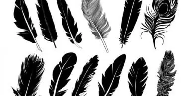 feather vector free