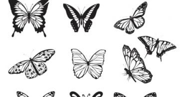 butterfly vector download