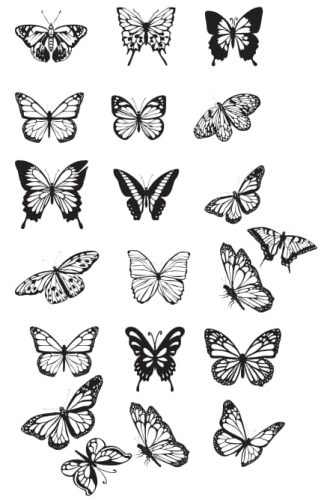 butterfly vector download