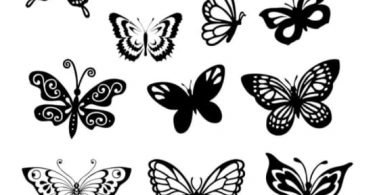 free vector butterfly