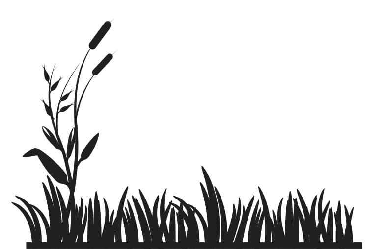 free vector grass
