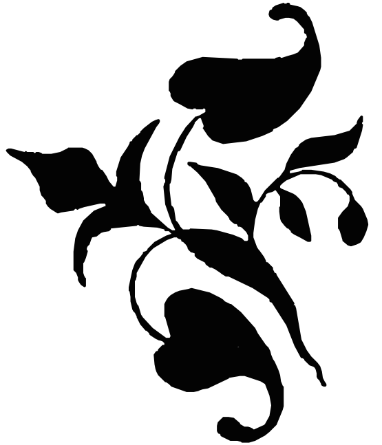 free vector vines and leaves