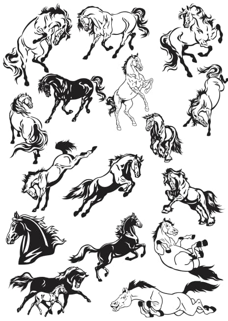 horse vector art