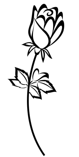 free vector flowers