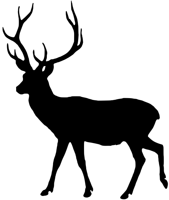 vector deer