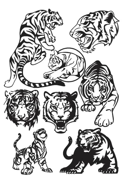 Tiger Vector