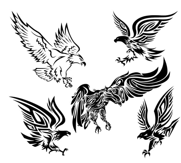 Eagles Free Vector