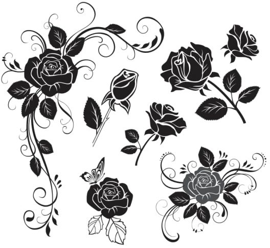 flower rose vector