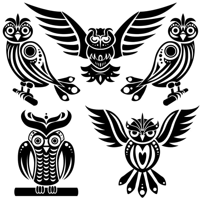 free owl vector