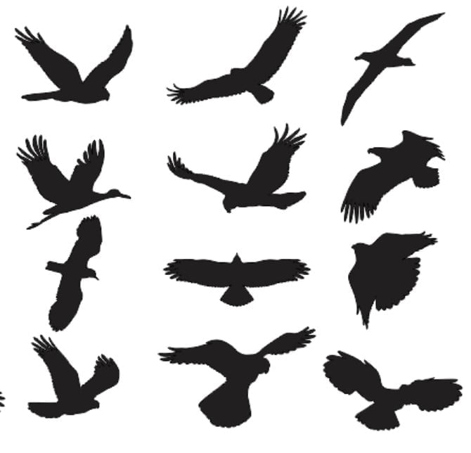 Bird Silhouette Vector dxf File download