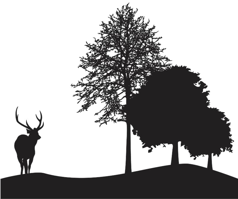 free dxf files for silhouette
