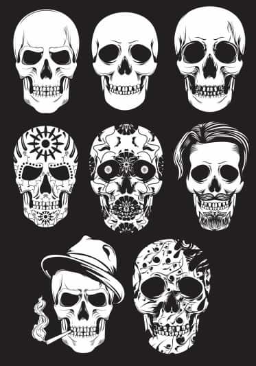 Skull Art