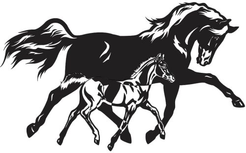 free DXF design
