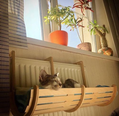laser cut Mounted Cat Bed Free SVG file free