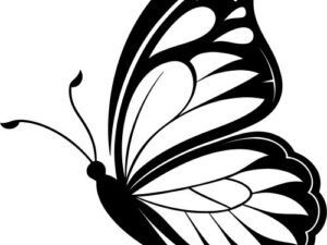 Side Butterfly SVG - Free Design for Crafts & Laser Cutting
