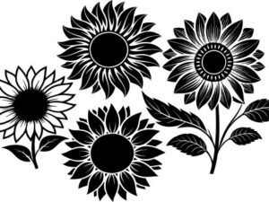 Sunflower SVG Black and White - Free Floral SVG Design