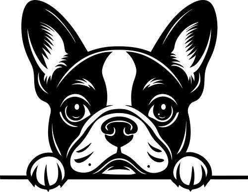 Cricut Boston Terrier SVG File - Free Crafting Design 2 Cricut Boston Terrier SVG File